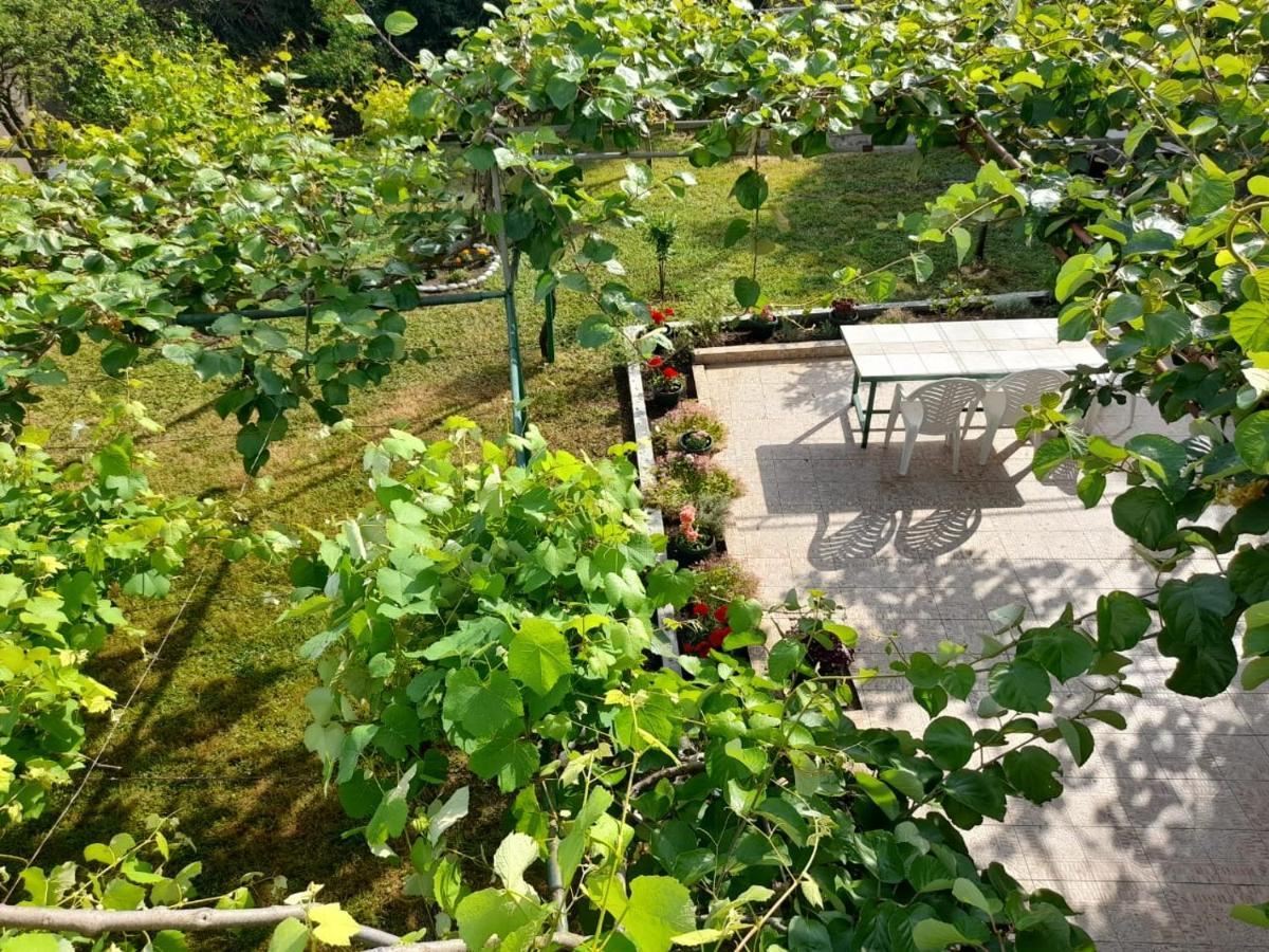 Apartments Marina Bečići Zewnętrze zdjęcie