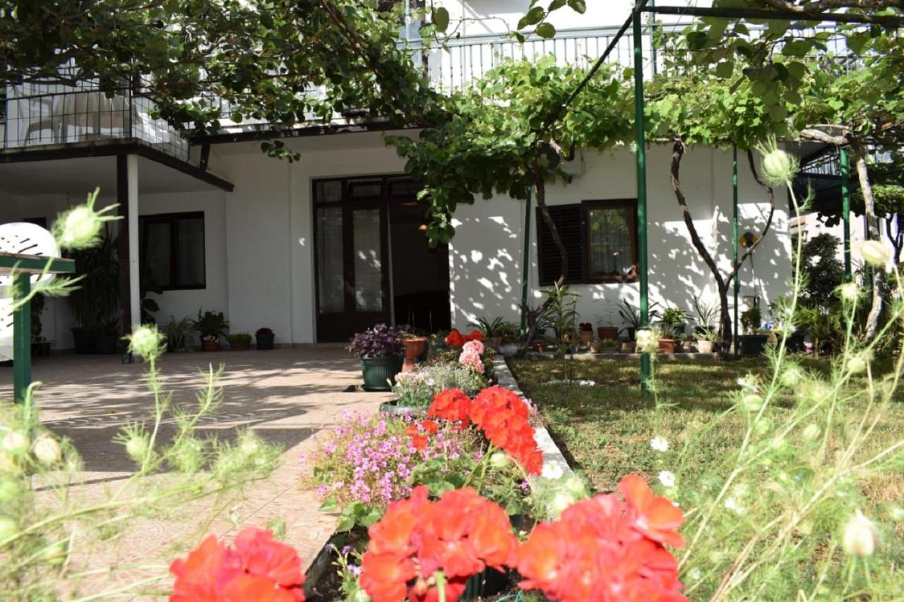 Apartments Marina Bečići Zewnętrze zdjęcie