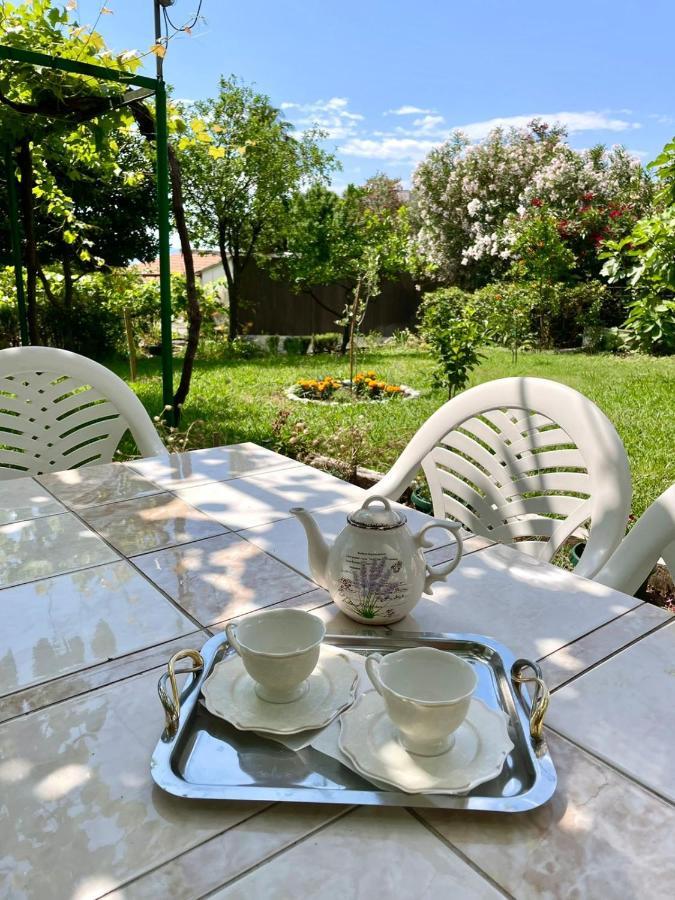 Apartments Marina Bečići Zewnętrze zdjęcie