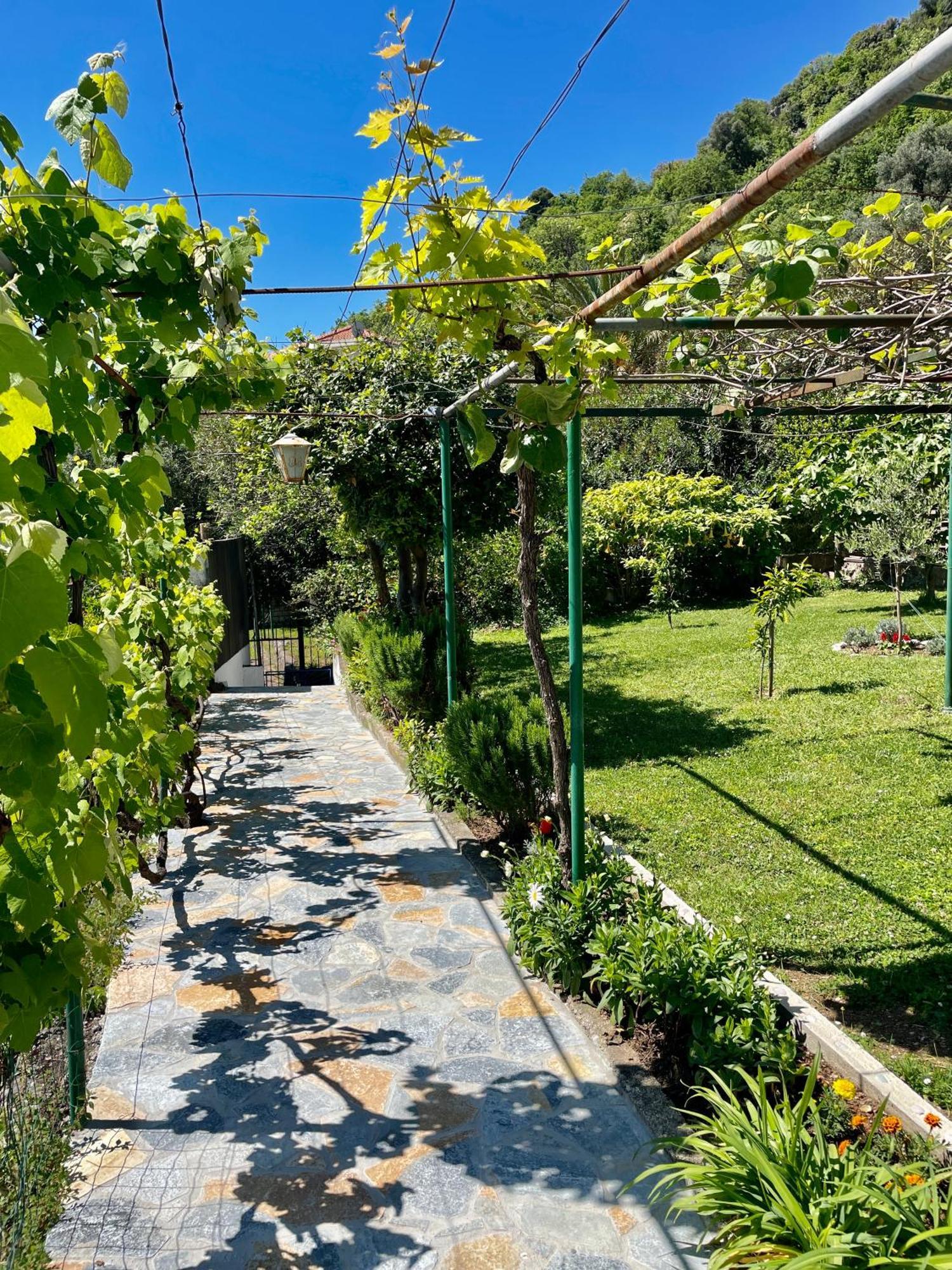 Apartments Marina Bečići Zewnętrze zdjęcie