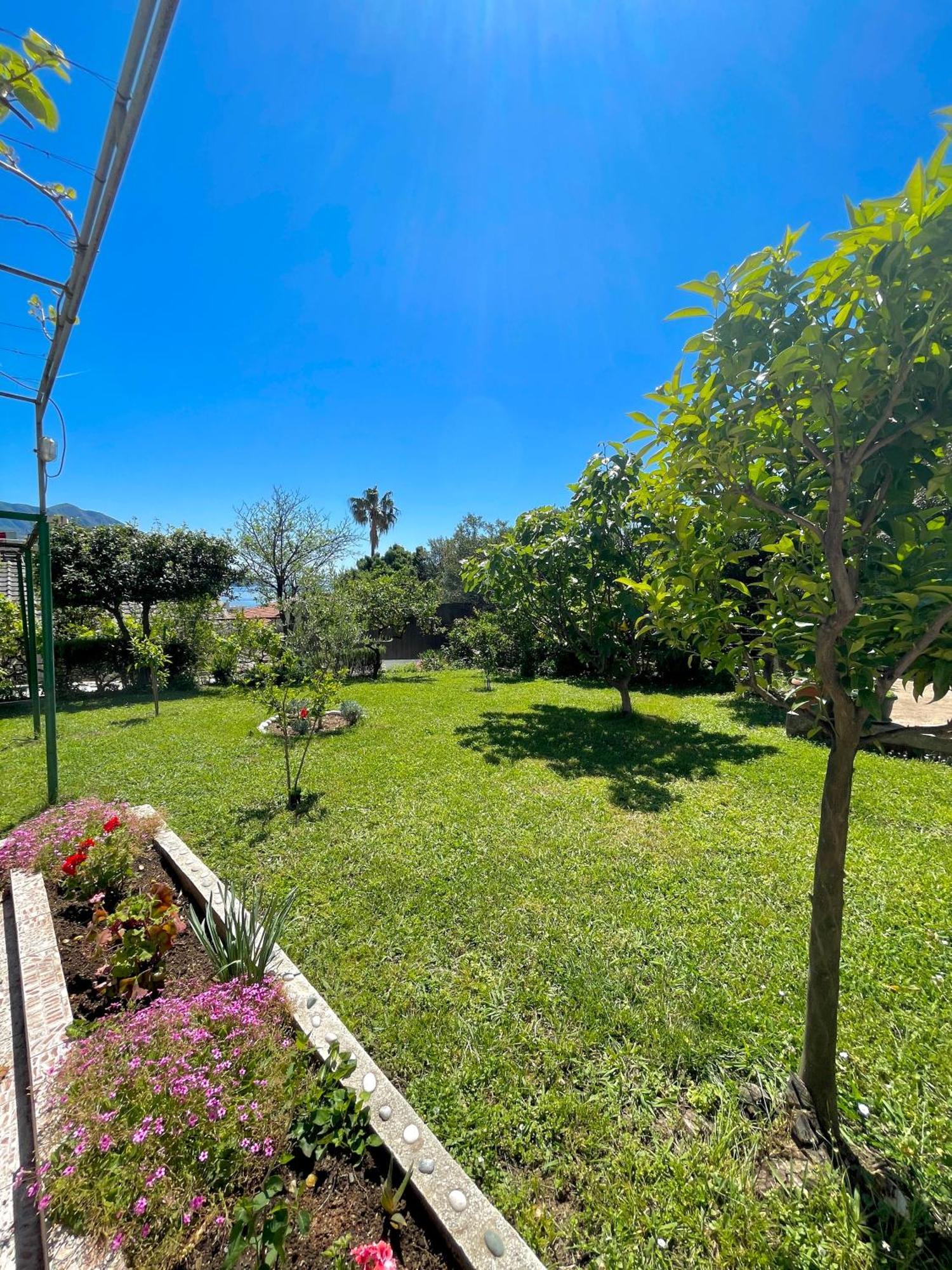 Apartments Marina Bečići Zewnętrze zdjęcie
