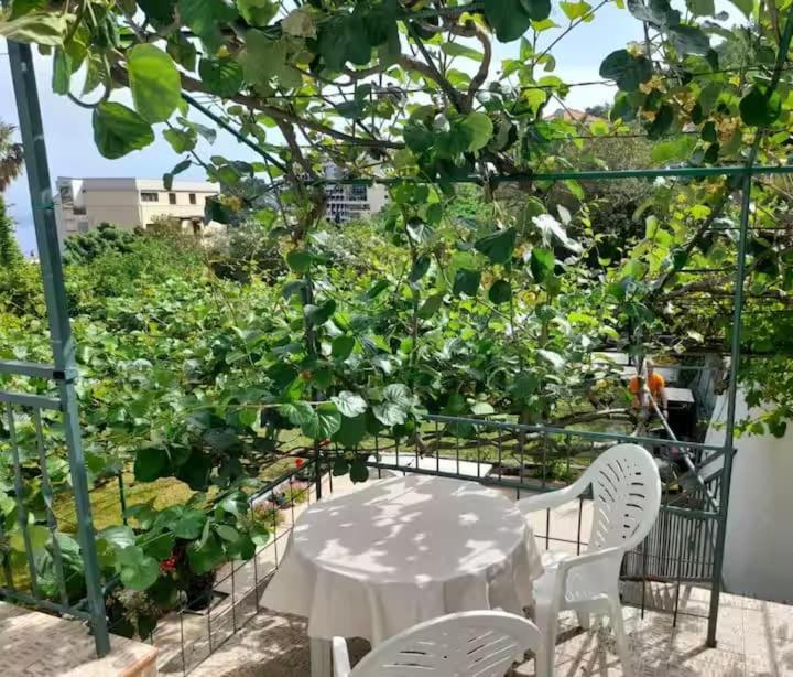 Apartments Marina Bečići Zewnętrze zdjęcie